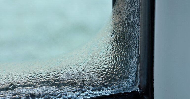 Condensation ou infiltration les différencier sans erreur