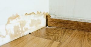 Dégâts des eaux étapes clés pour éviter les moisissures