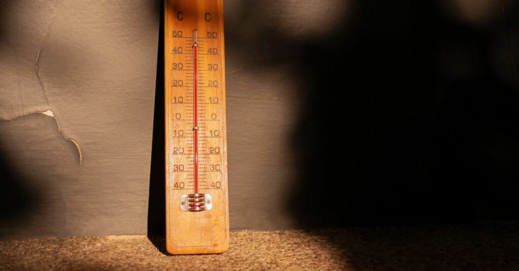 Préparer son logement à la canicule dès le printemps