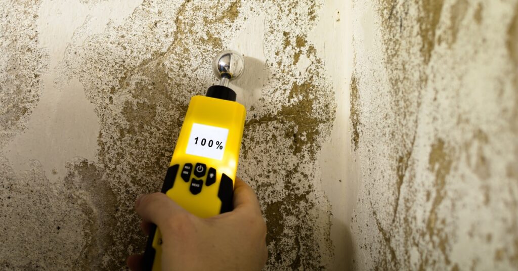 humidité maison automne contrôle façade et infiltrations